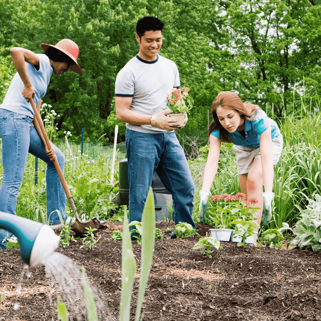 Local residents tending to the community garden at Sixteen Oaks Botanical Garden